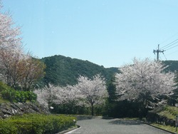 伊佐ノ浦公園03