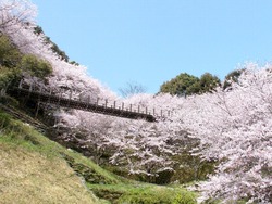 琴海中央公園01-5