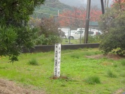 淵町02-4
