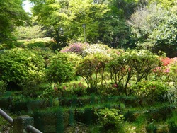 諫早公園02