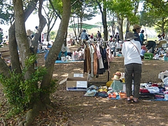 あぐり05