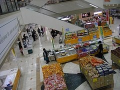 IMGP9548
