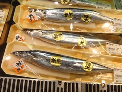 サンマ01-2