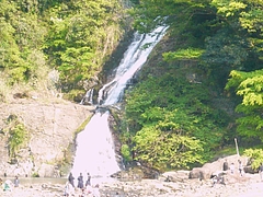 東彼杵02-5