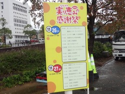 実り恵み01