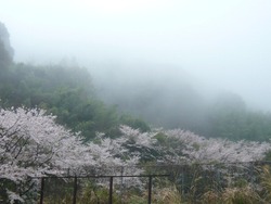 芒塚01-2