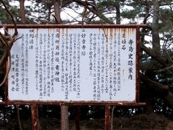 寺島01-7