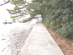 寺島02-4