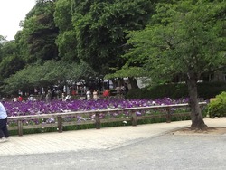 大村公園01