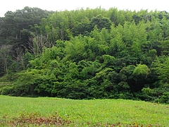 三川町01-2