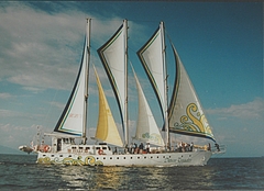 hansen_d