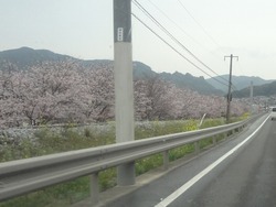 高田郷02