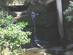 白糸の滝01