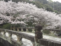 西山ダム01-7