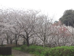 西山ダム01