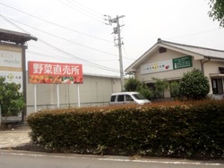 諫早01-2