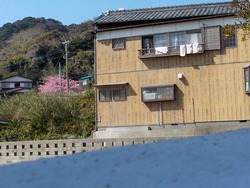 野母01-2