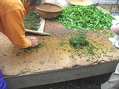 新茶まつり05