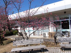 大村公園01-4
