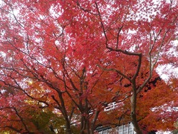 安勝寺02-2