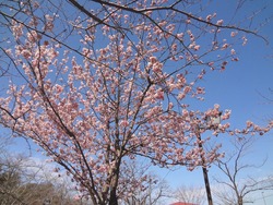大村公園01-2