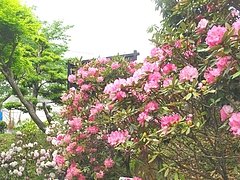 裏見の滝02-5