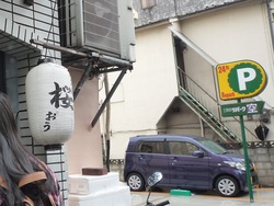 桜01-4