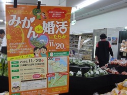 諫早02-4
