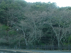 ºù03-3