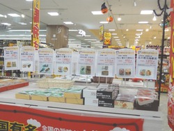 夢彩都02
