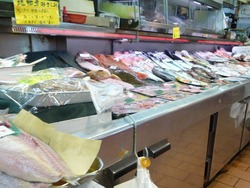 新大工03-7