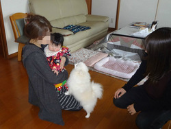 孫03-2