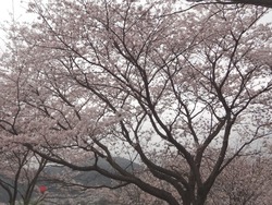 中尾城公園03-2