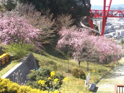 中尾城公園01-2