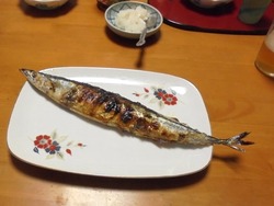 サンマ02