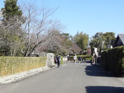 神代小路03-5