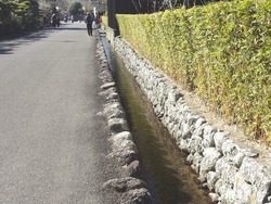 神代小路03-2