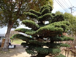 松山06-2