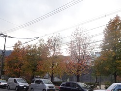 淵町04-2