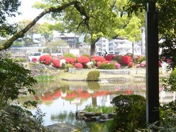 諫早公園02-3