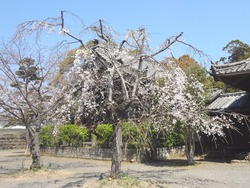 大村公園03-4