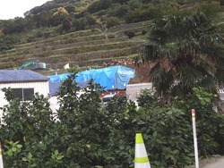 伊木力01