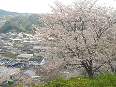 中尾城03