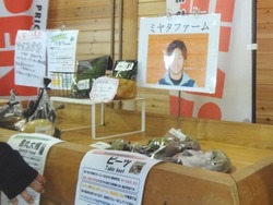アンドカフェ01-7