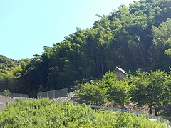 石動01