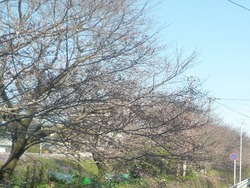 0325-01