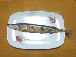 サンマ02