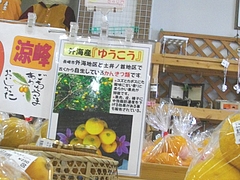 そとめ02-2