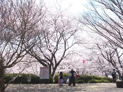 中尾城公園01-5