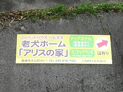 老犬ホーム